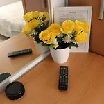 Hotel Fiorella