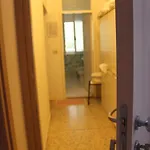 Fiorella Hotel Rimini